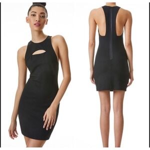 Alice + Olivia Gara Cutout Mini Dress Black Size 6 Bodycon Sheath